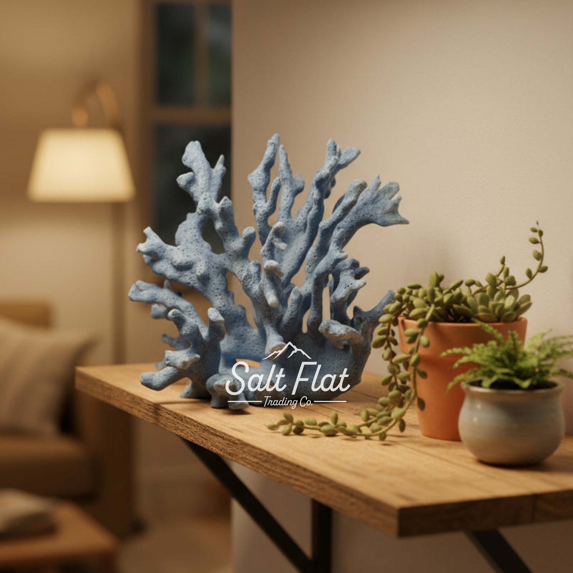 Coral azul de 5 a 7 pulgadas