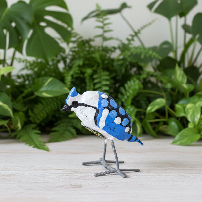 Aves de vainas de semillas