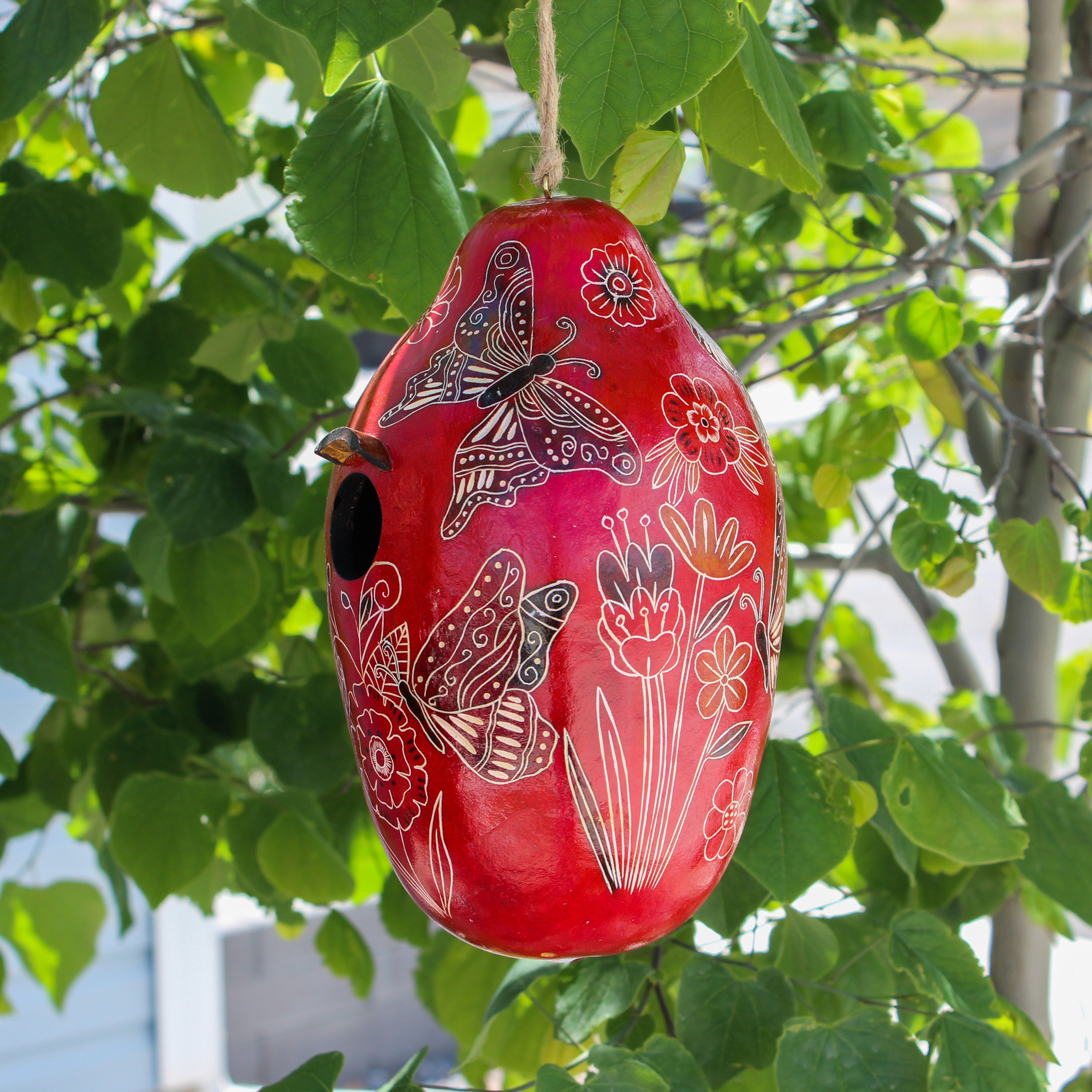 Butterfly Doodle - Gourd Birdhouse