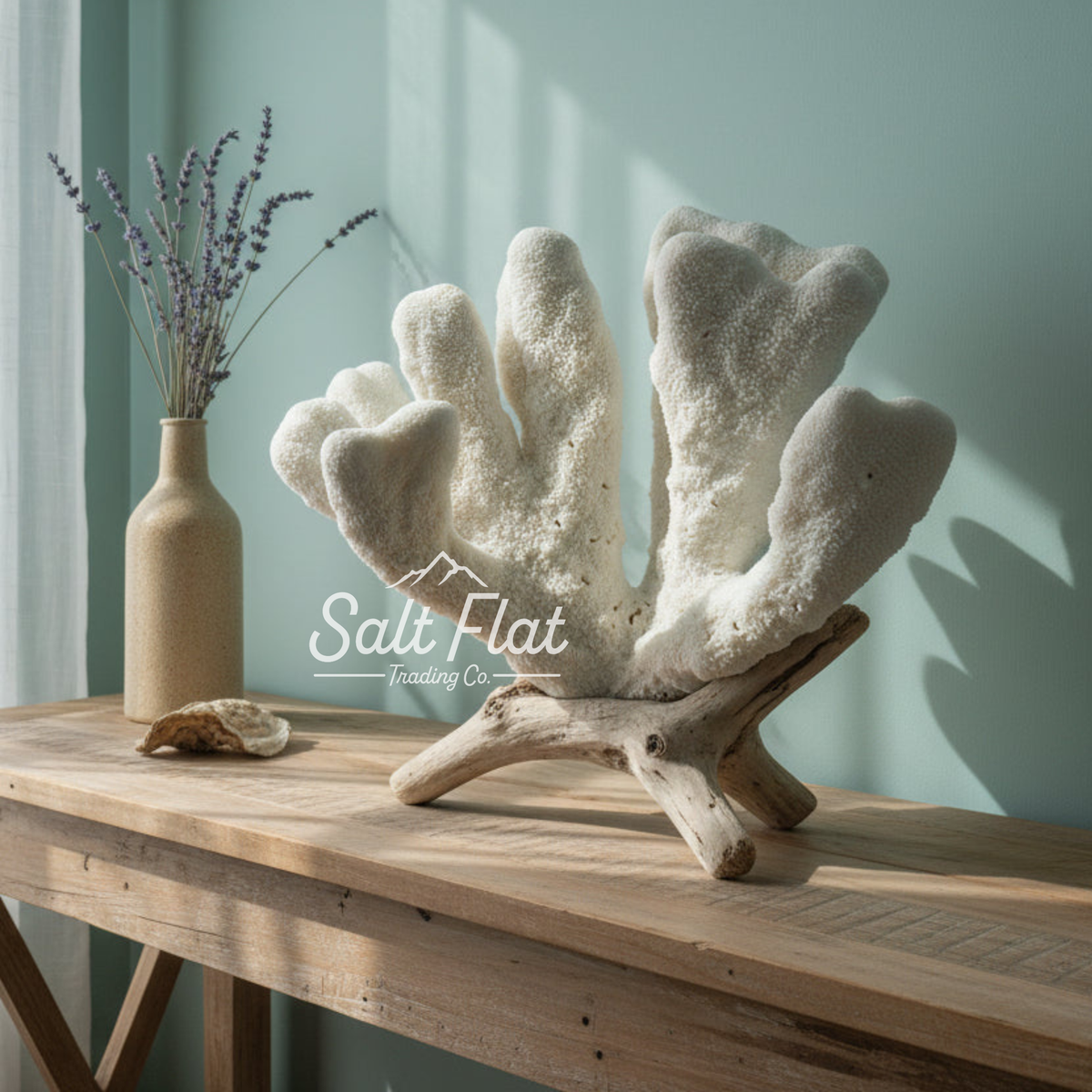 Catspaw Coral 14-16"