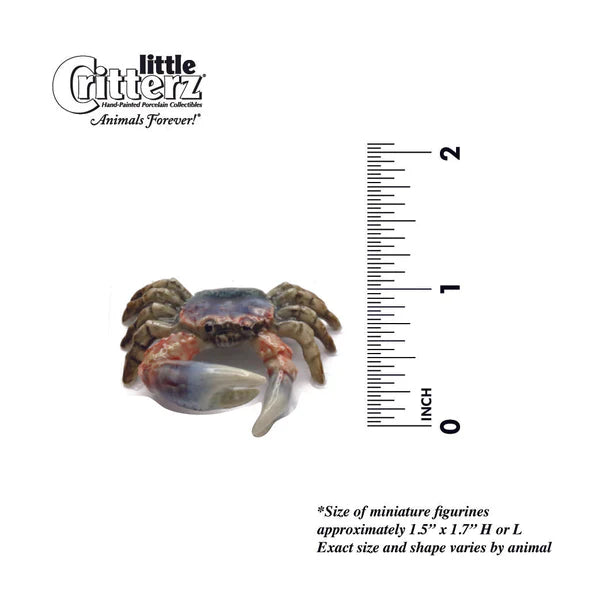 Little Critterz™ - Sealife