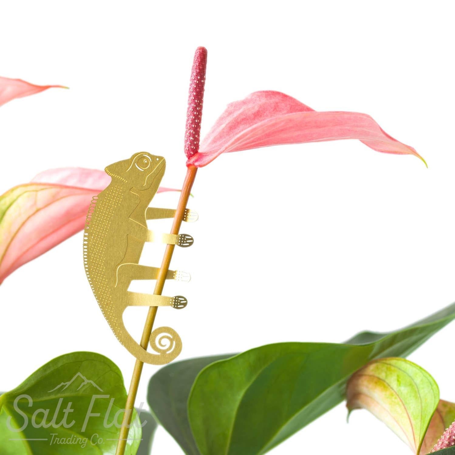 Plant Animals