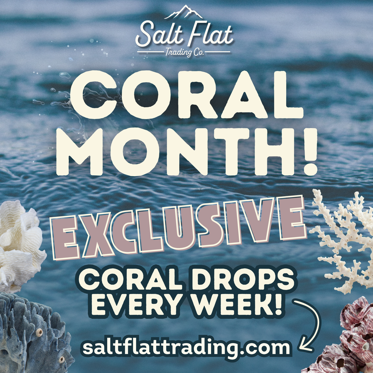 Exclusive Coral Drops | Week 3