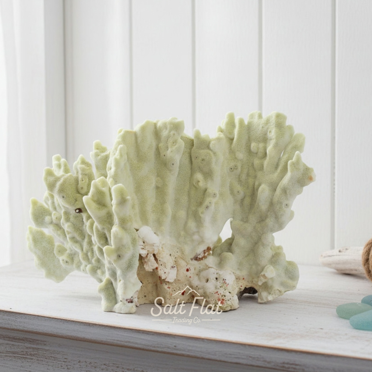 Fire Slab Coral 10-12"