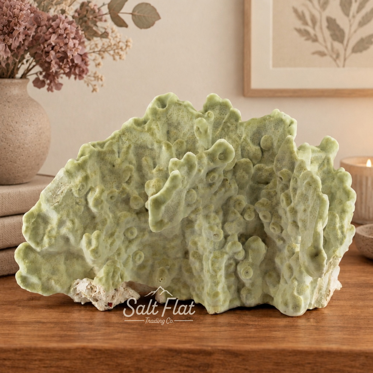 Fire Slab Coral 7-10"