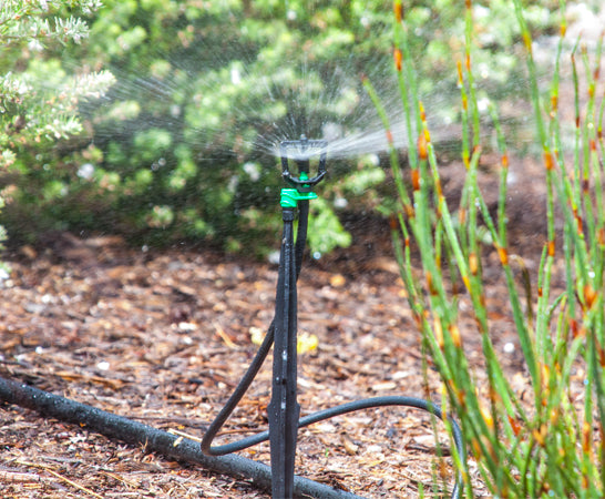 Micro Sprinkler on Spike with 90°, 180°, 360° & Strip-Spray-Pattern Spreader
