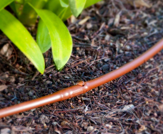 Tuberías de polietileno y líneas de goteo: varios tamaños, distancia entre emisores, longitudes y colores
