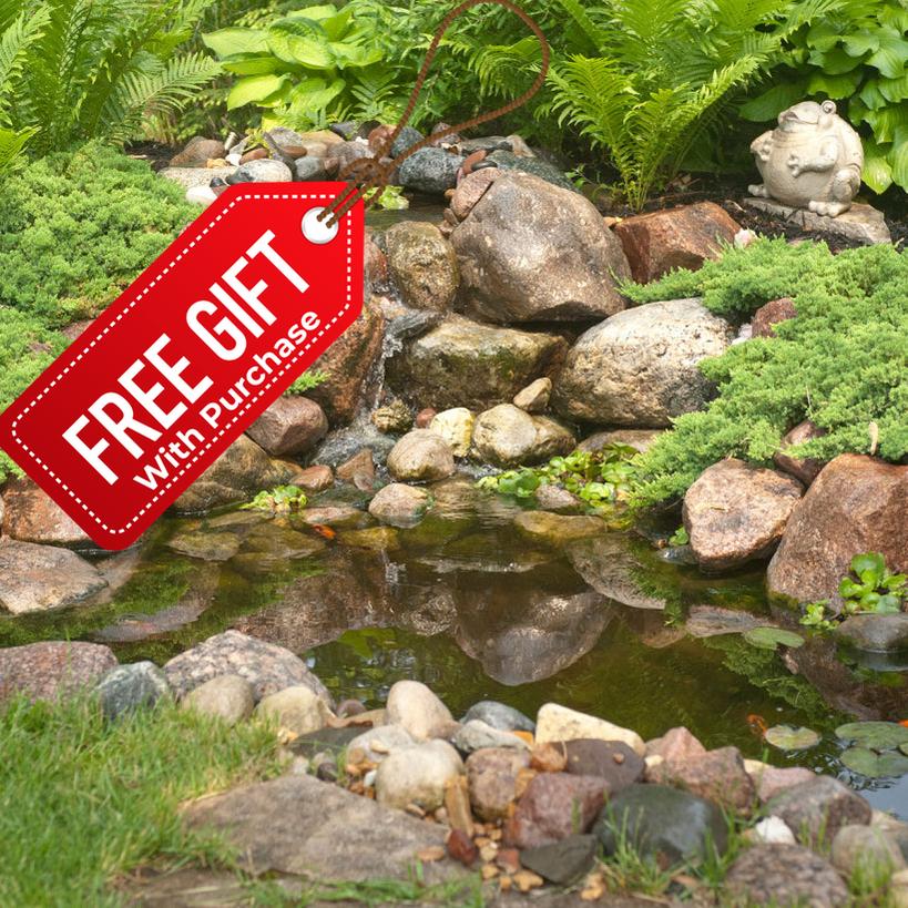 4' x 6' DIY BACKYARD POND KIT