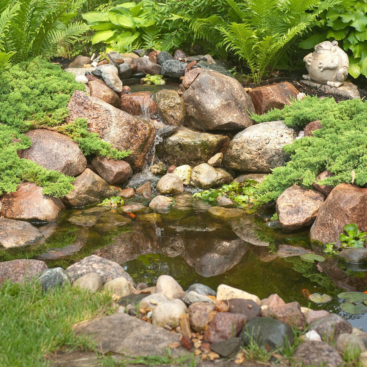 8' X 11' DIY Backyard Pond Kit