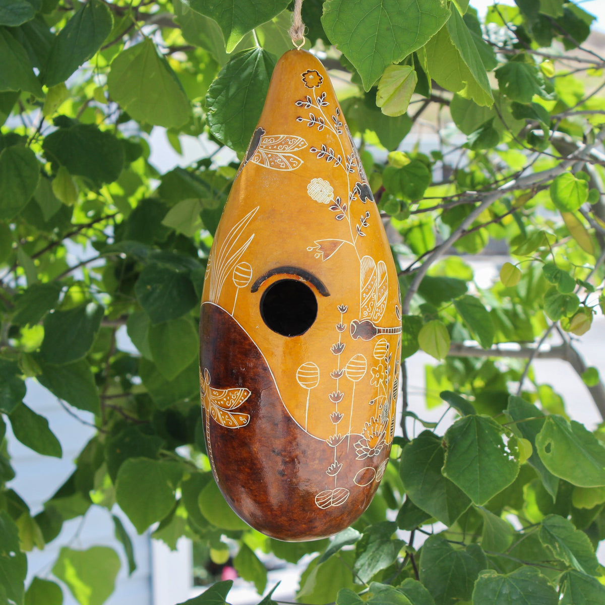 Casas para pájaros de calabaza