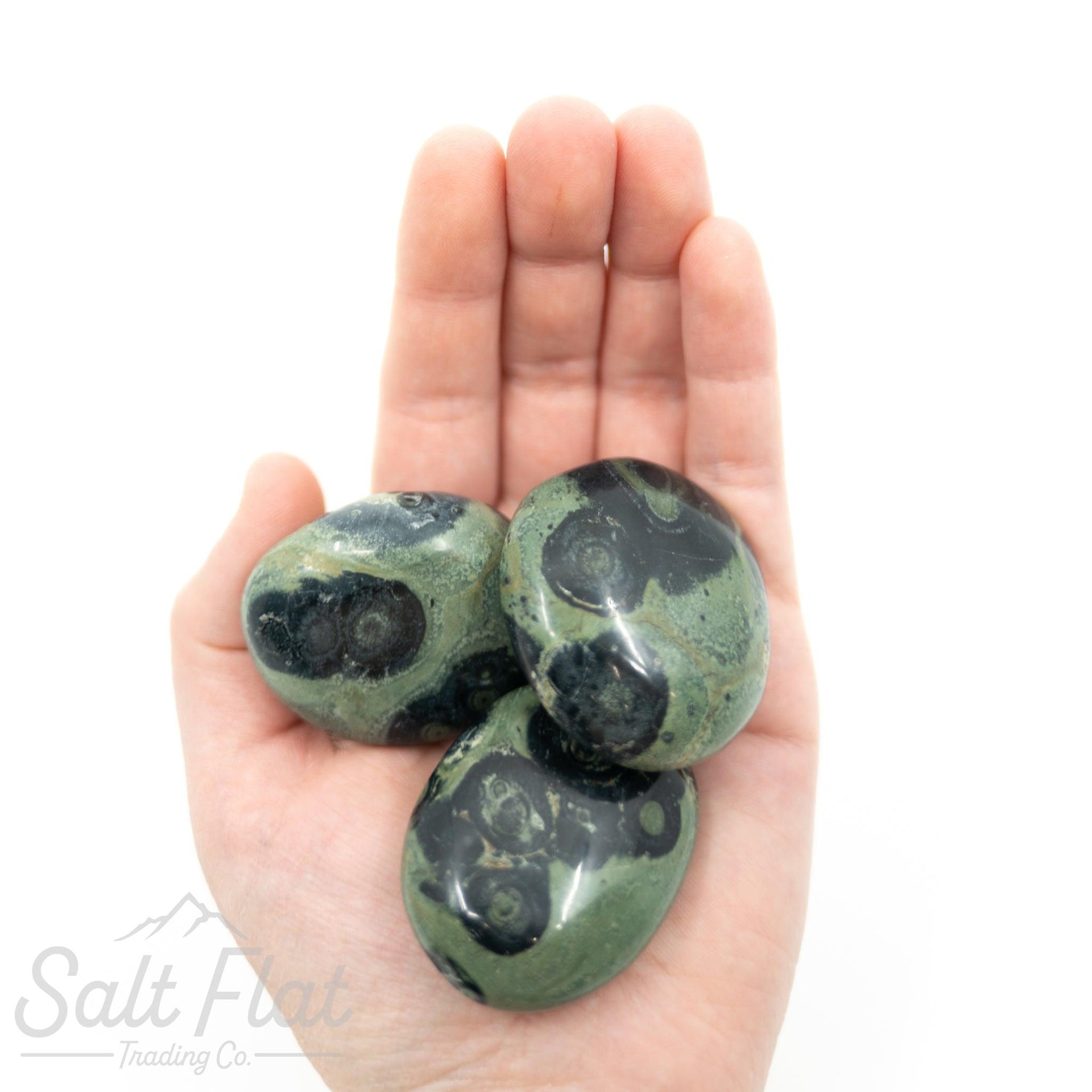 Kambaba Jasper Palm Stone