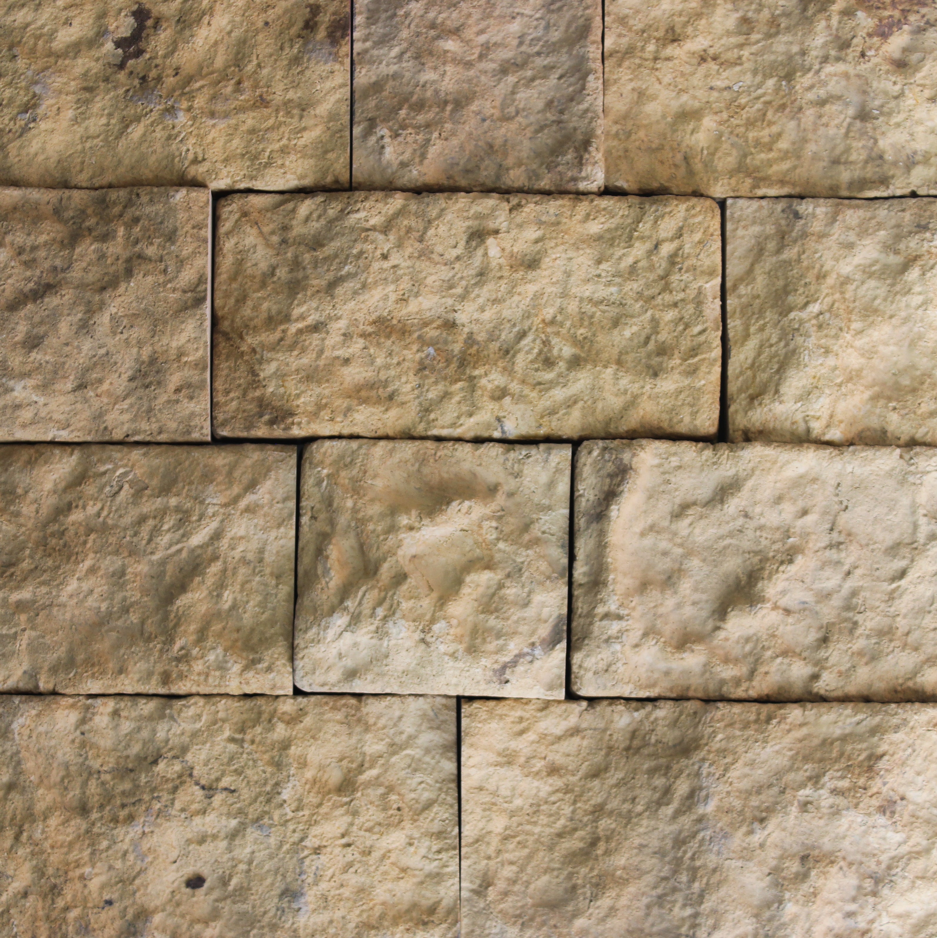 Evolve Stone Samples