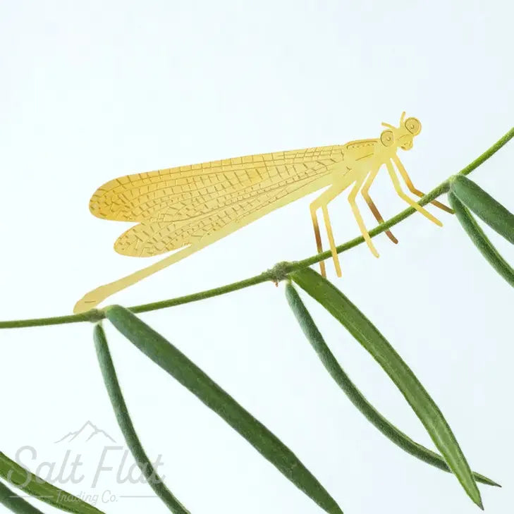 Plant Animals