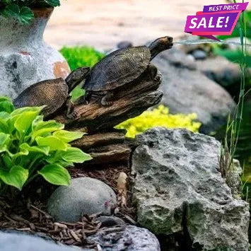 Double Turtle on Log Spitter