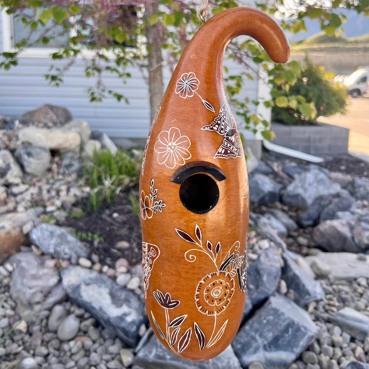 Casas para pájaros de calabaza