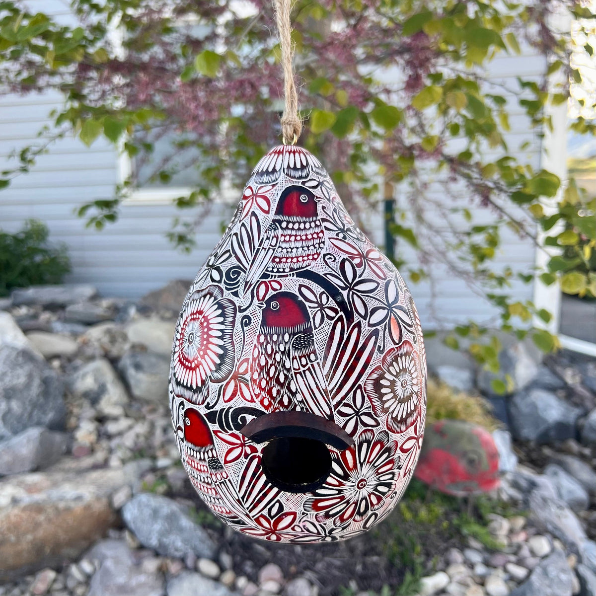 Casas para pájaros de calabaza