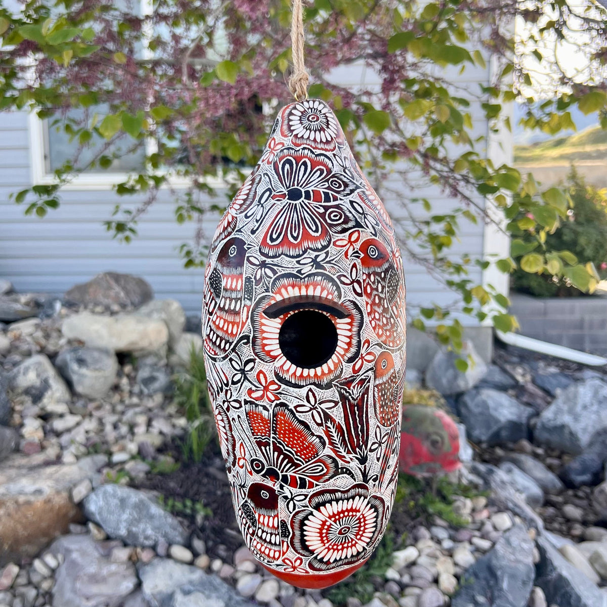 Casas para pájaros de calabaza