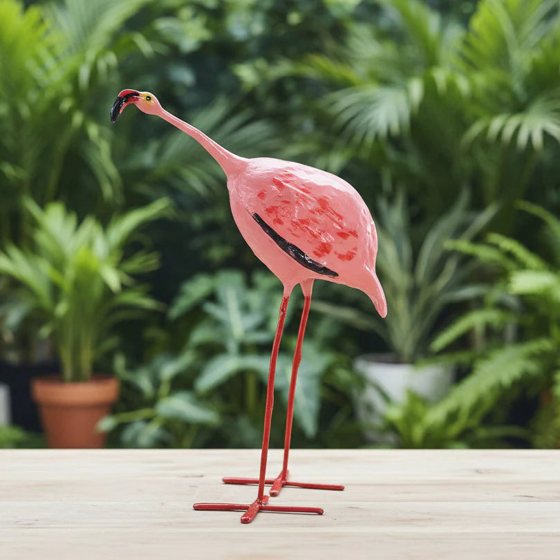 Aves de vainas de semillas