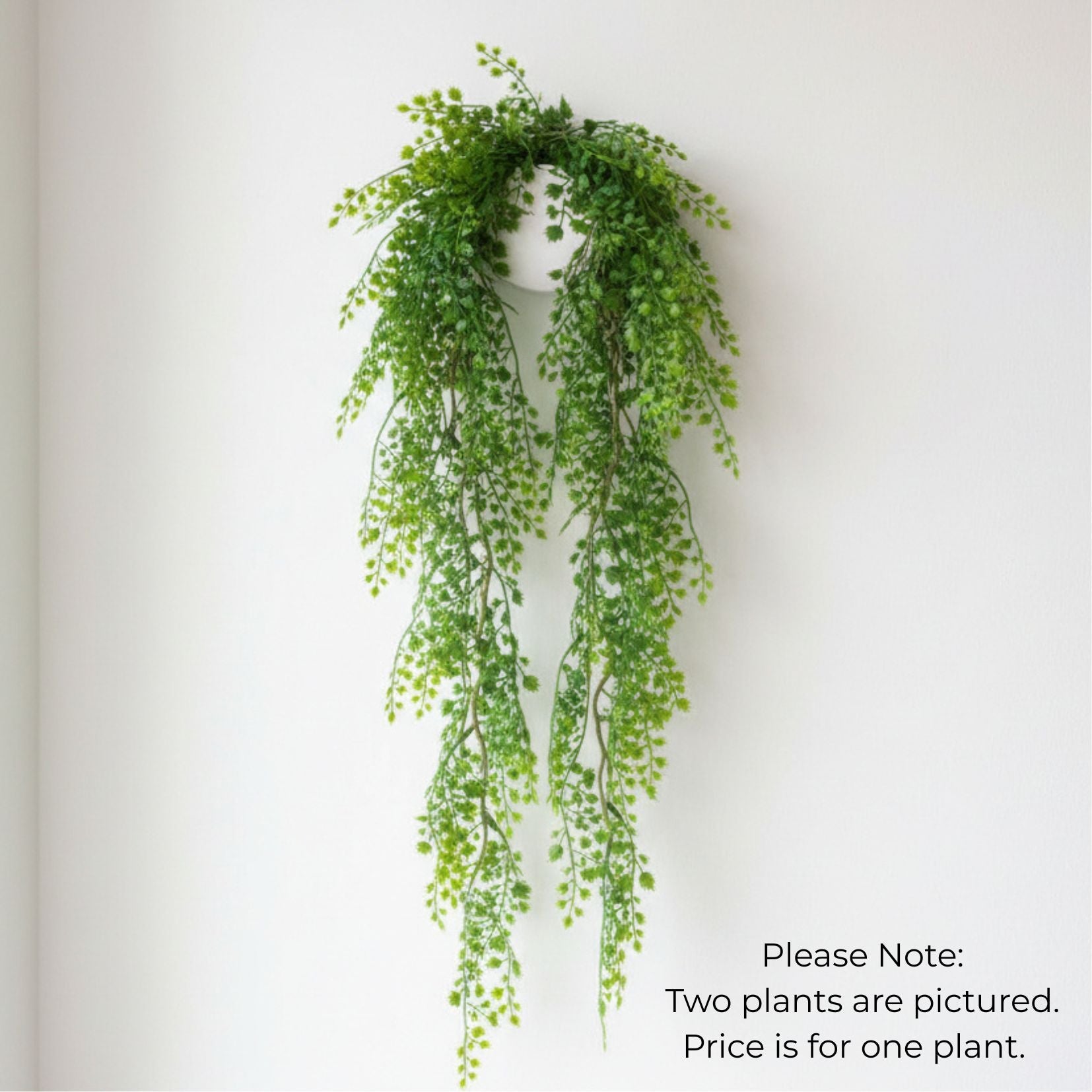 Artificial Plants