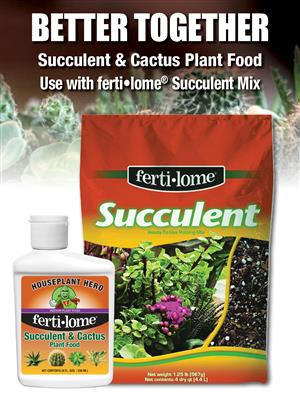 Alimento para suculentas y cactus 2-7-7 8oz