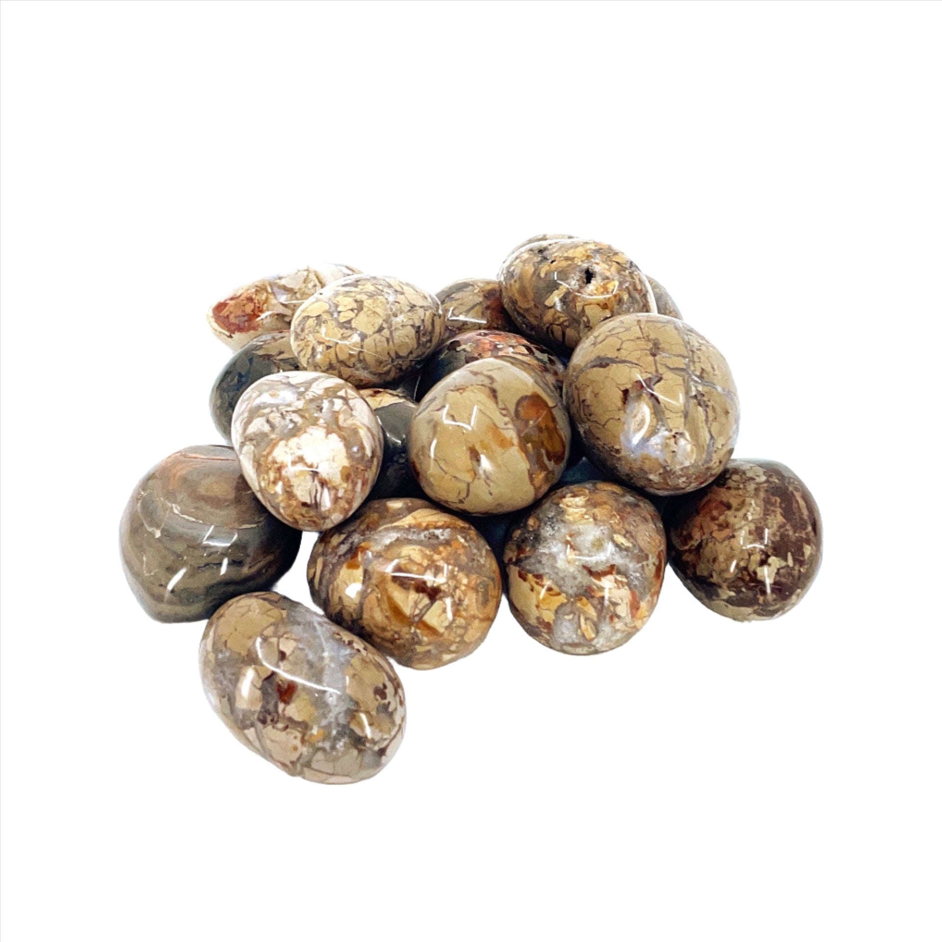 Ibis Jasper Palm Stone