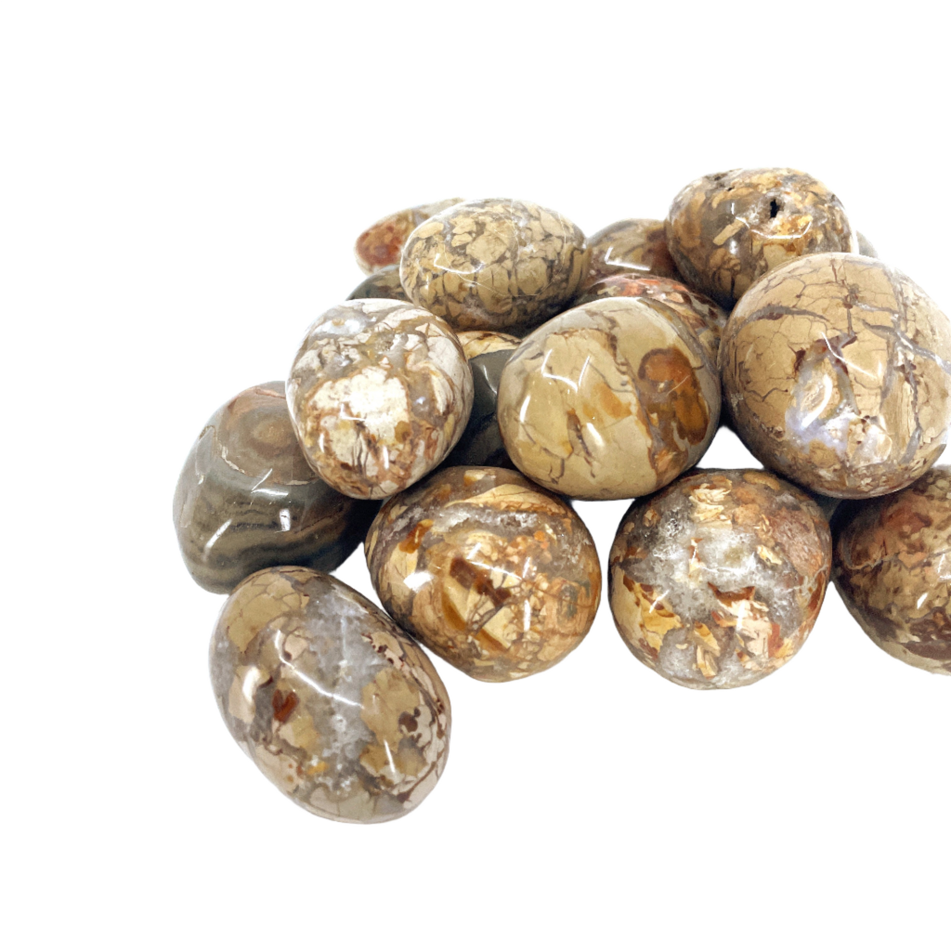 Ibis Jasper Palm Stone