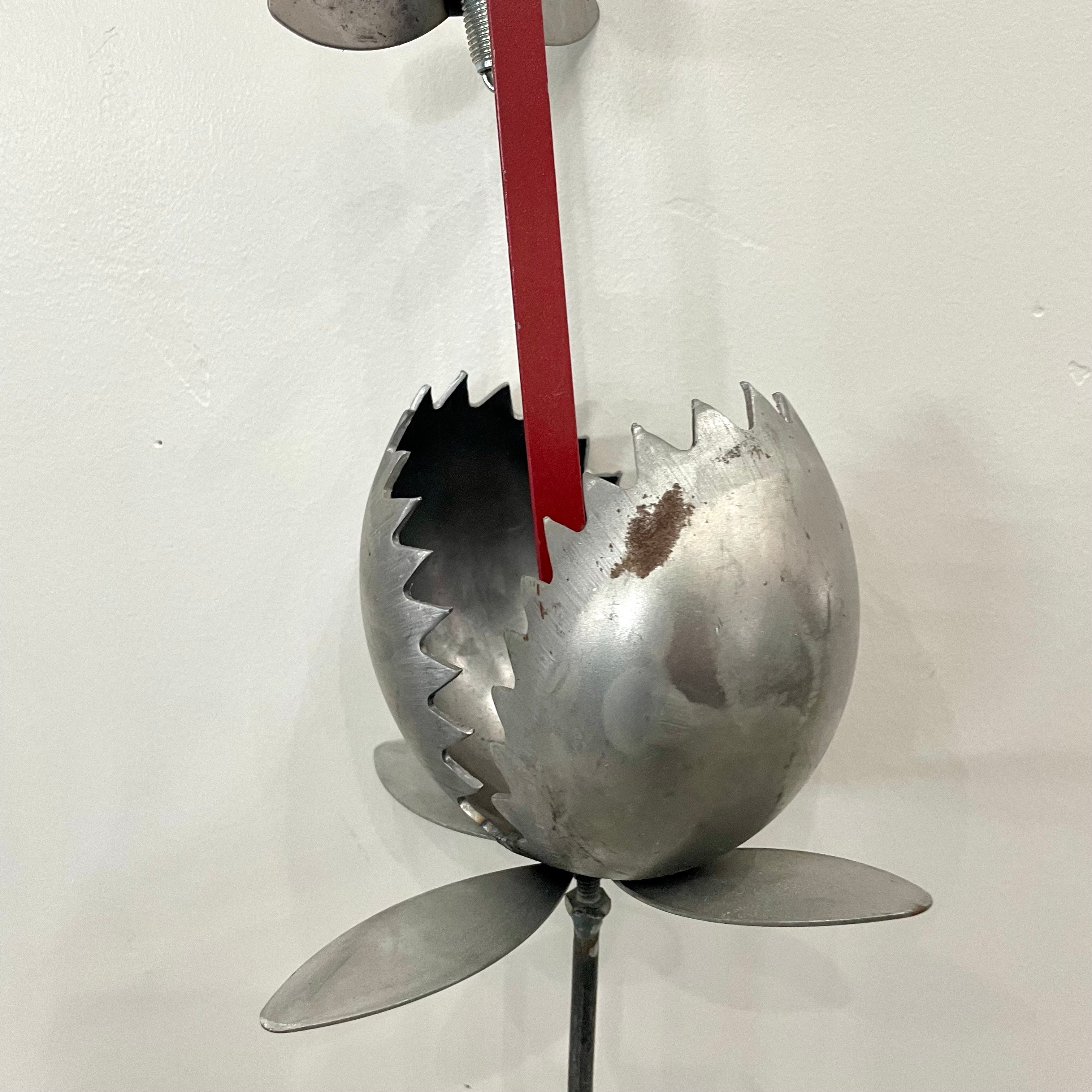 Medium Venus Fly Trap