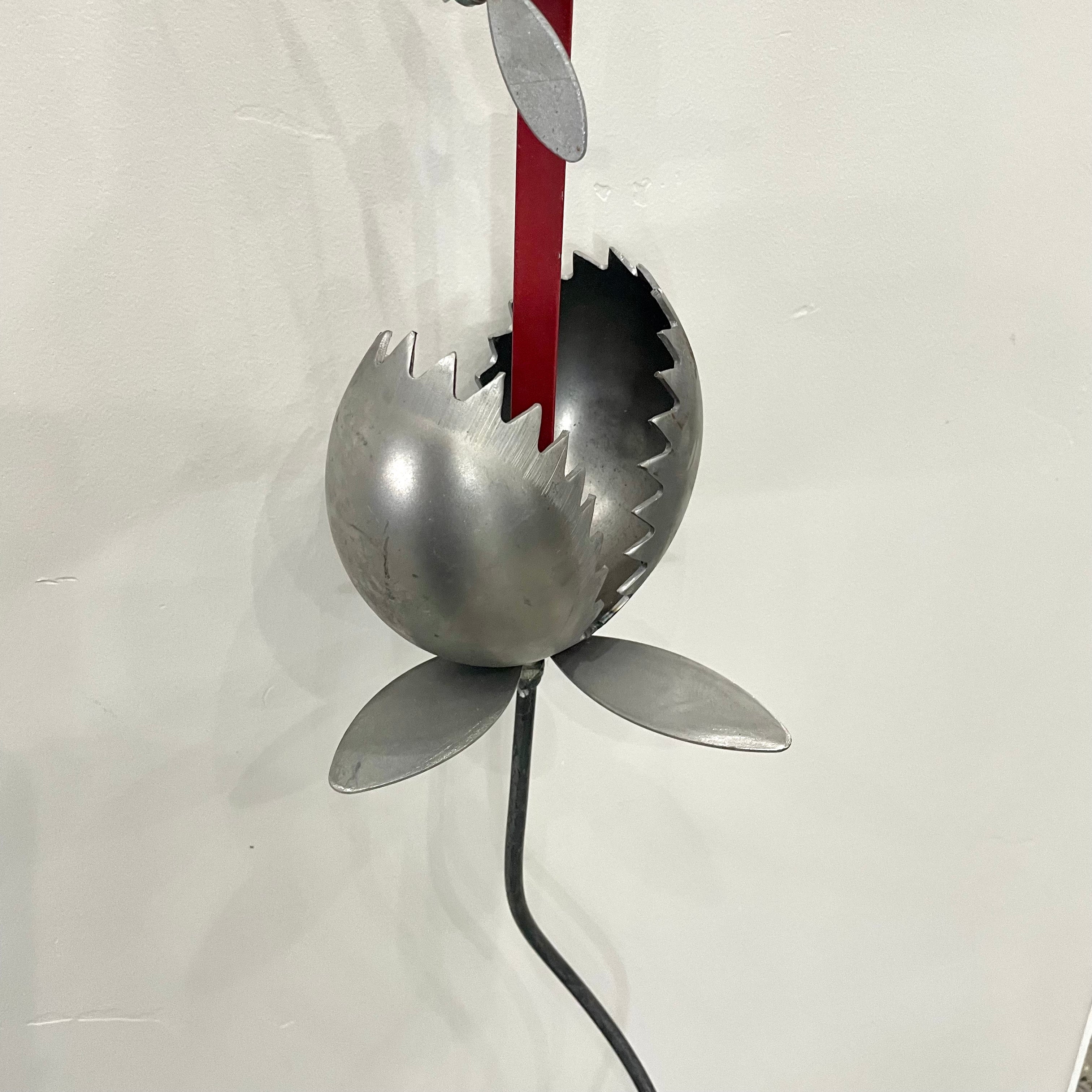 Medium Venus Fly Trap