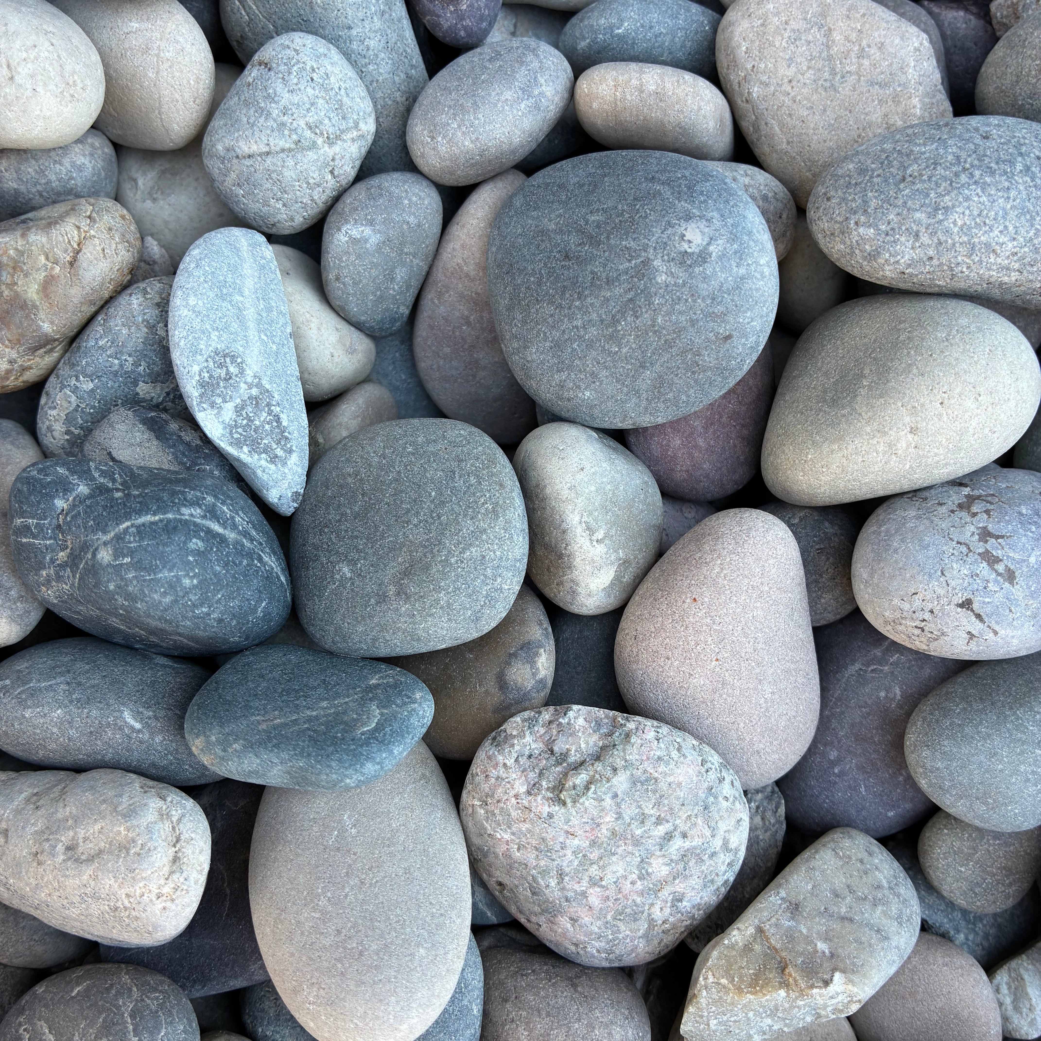 Kodiak Cobble