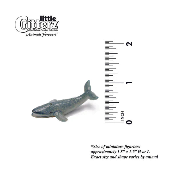 Little Critterz™ - Sealife