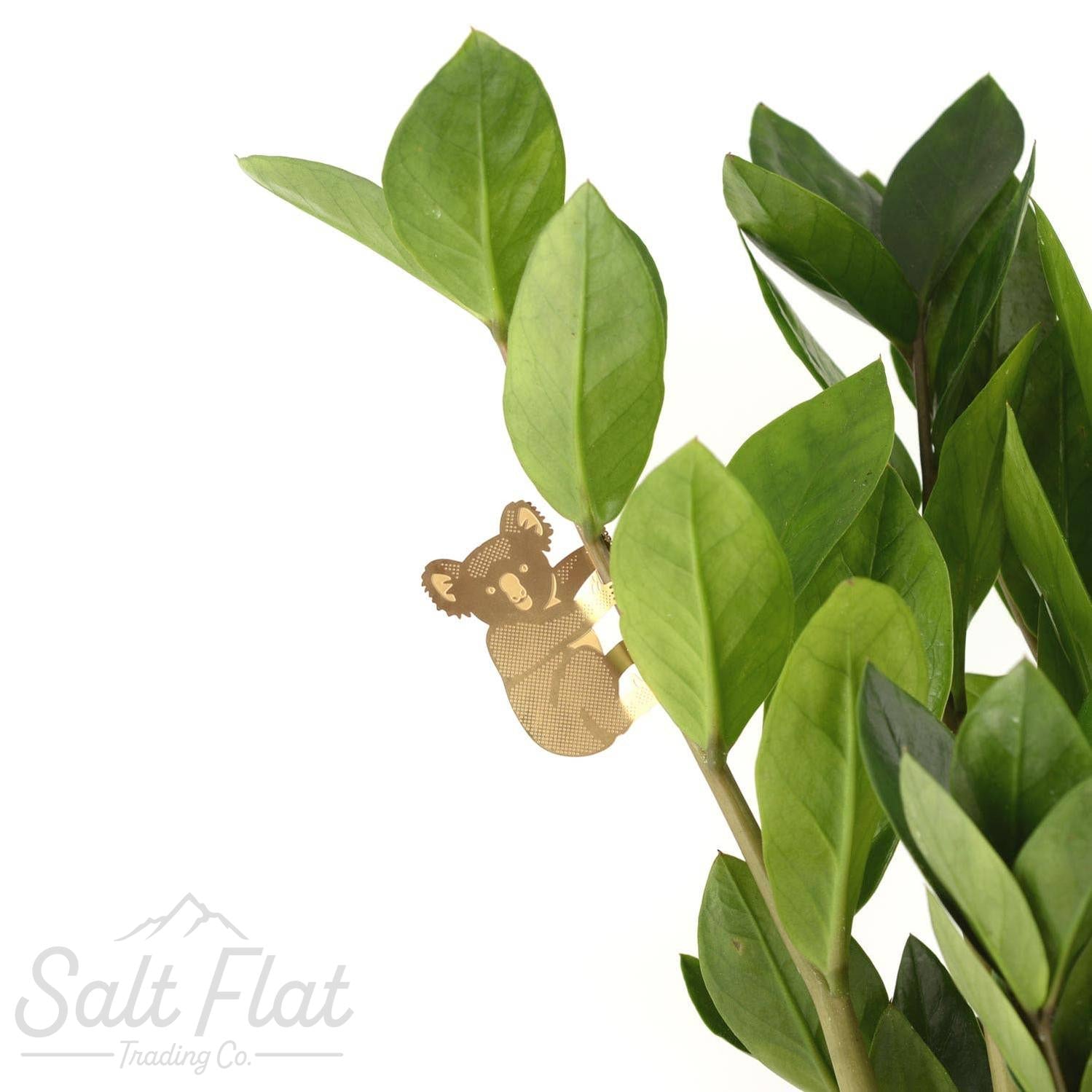 Plant Animals