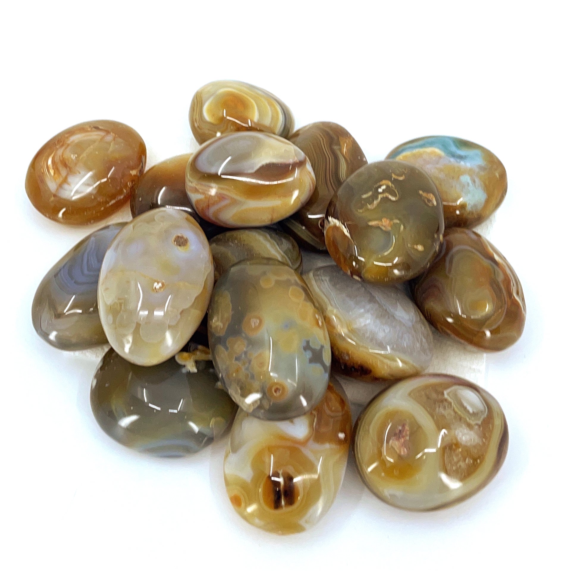 Madagascan Agate Palm Stone