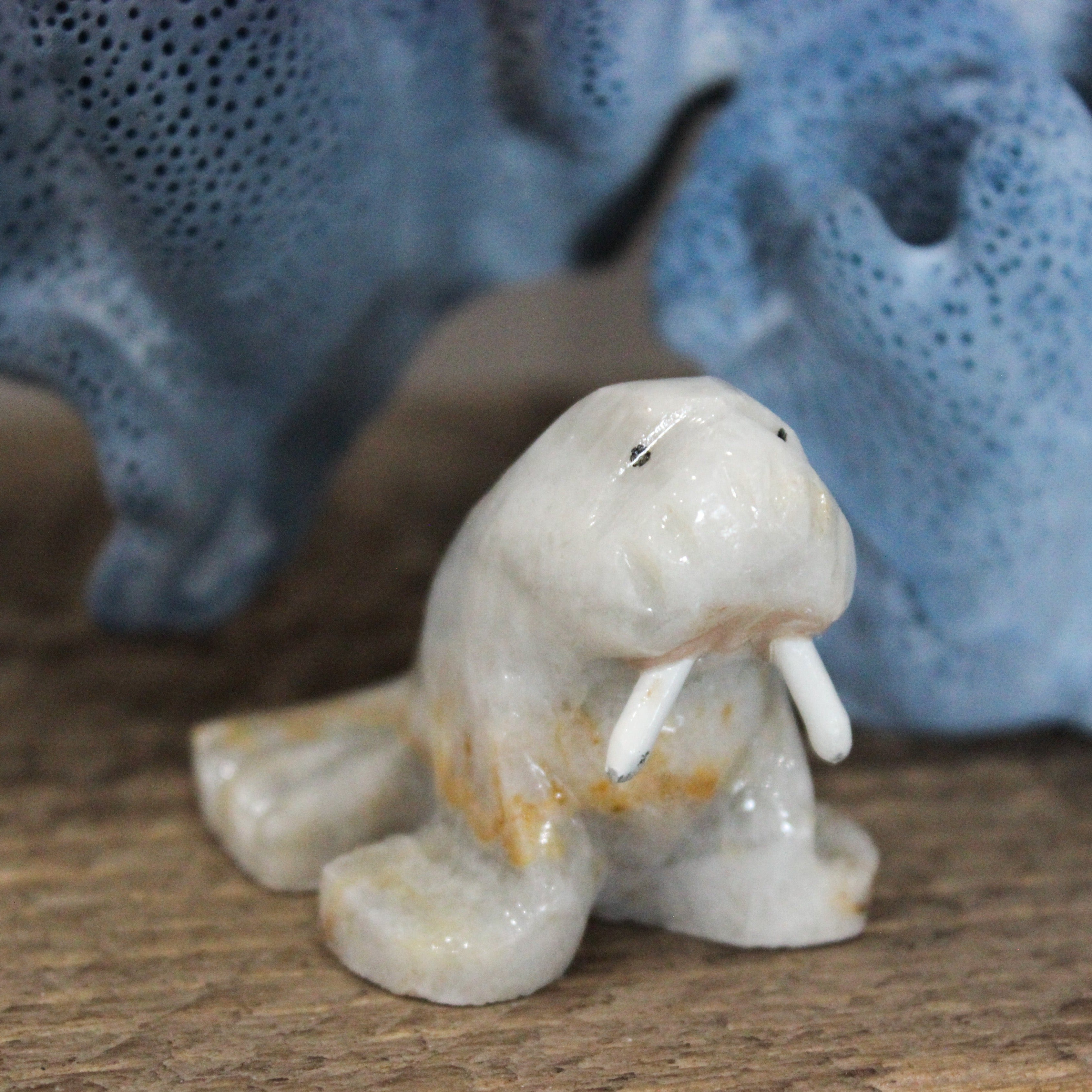 2" Marble Walrus