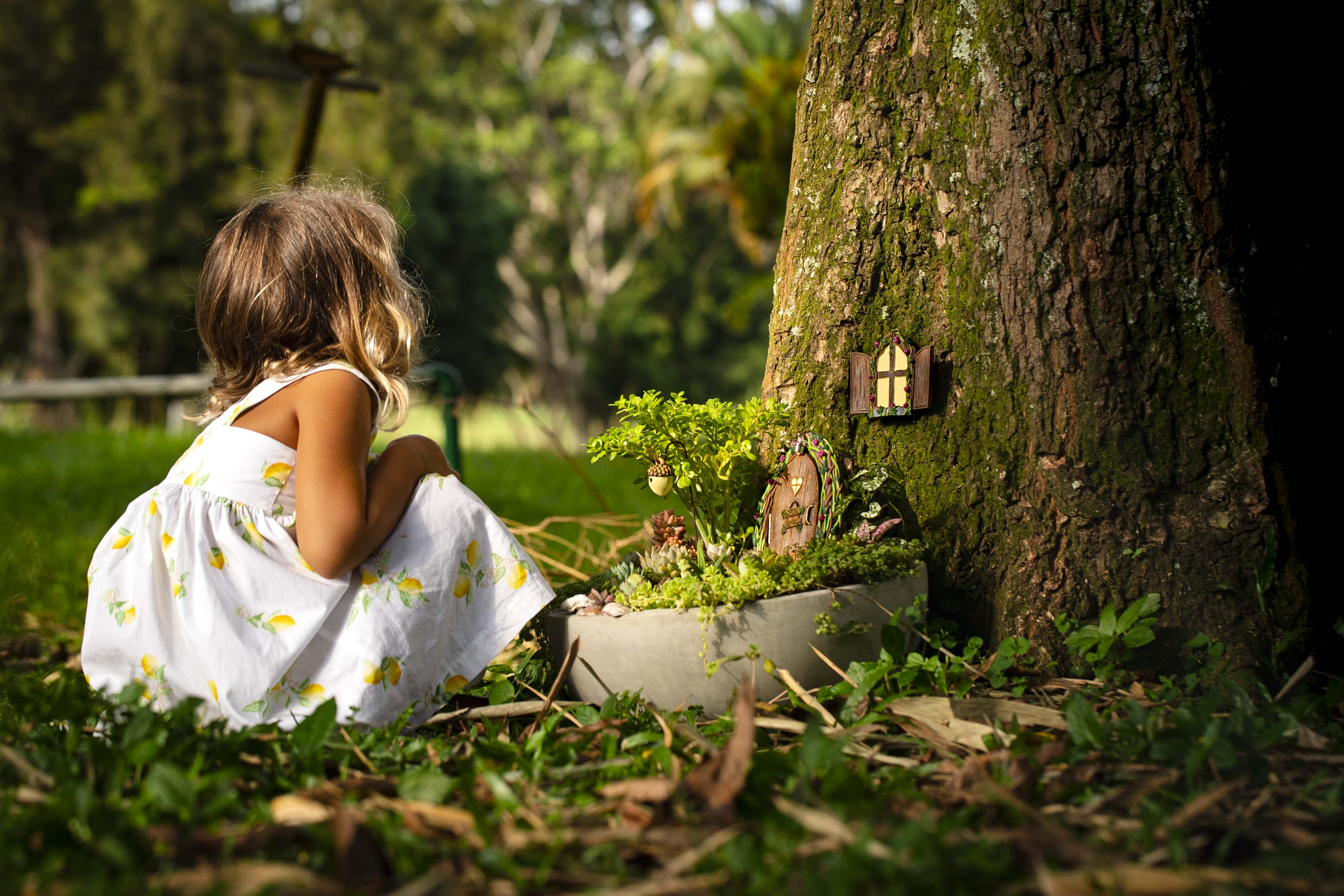 Fairy Door & Windows- Open Door