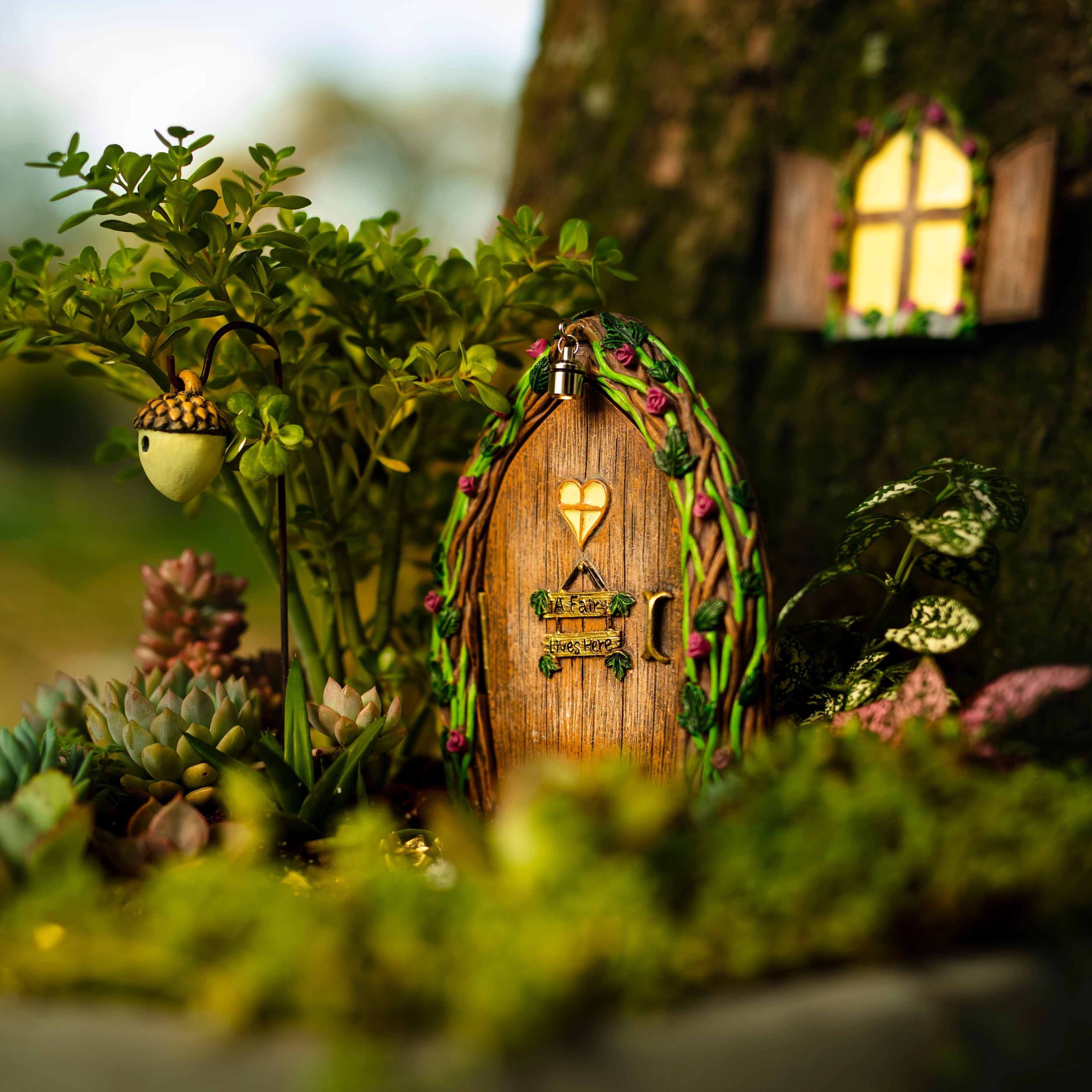 Fairy Door & Windows- Open Door