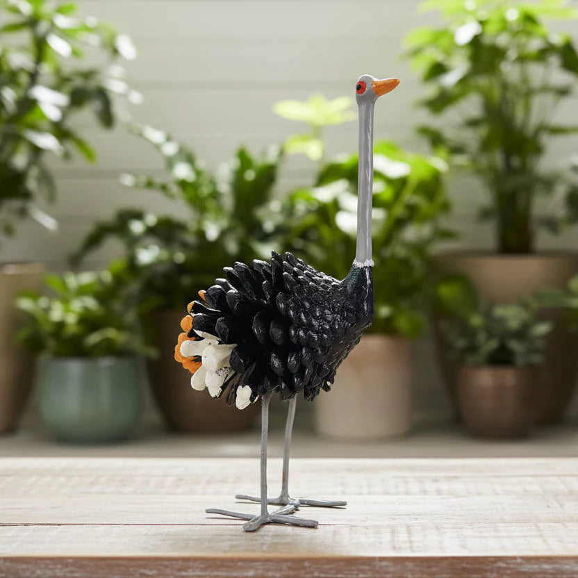 Aves de vainas de semillas