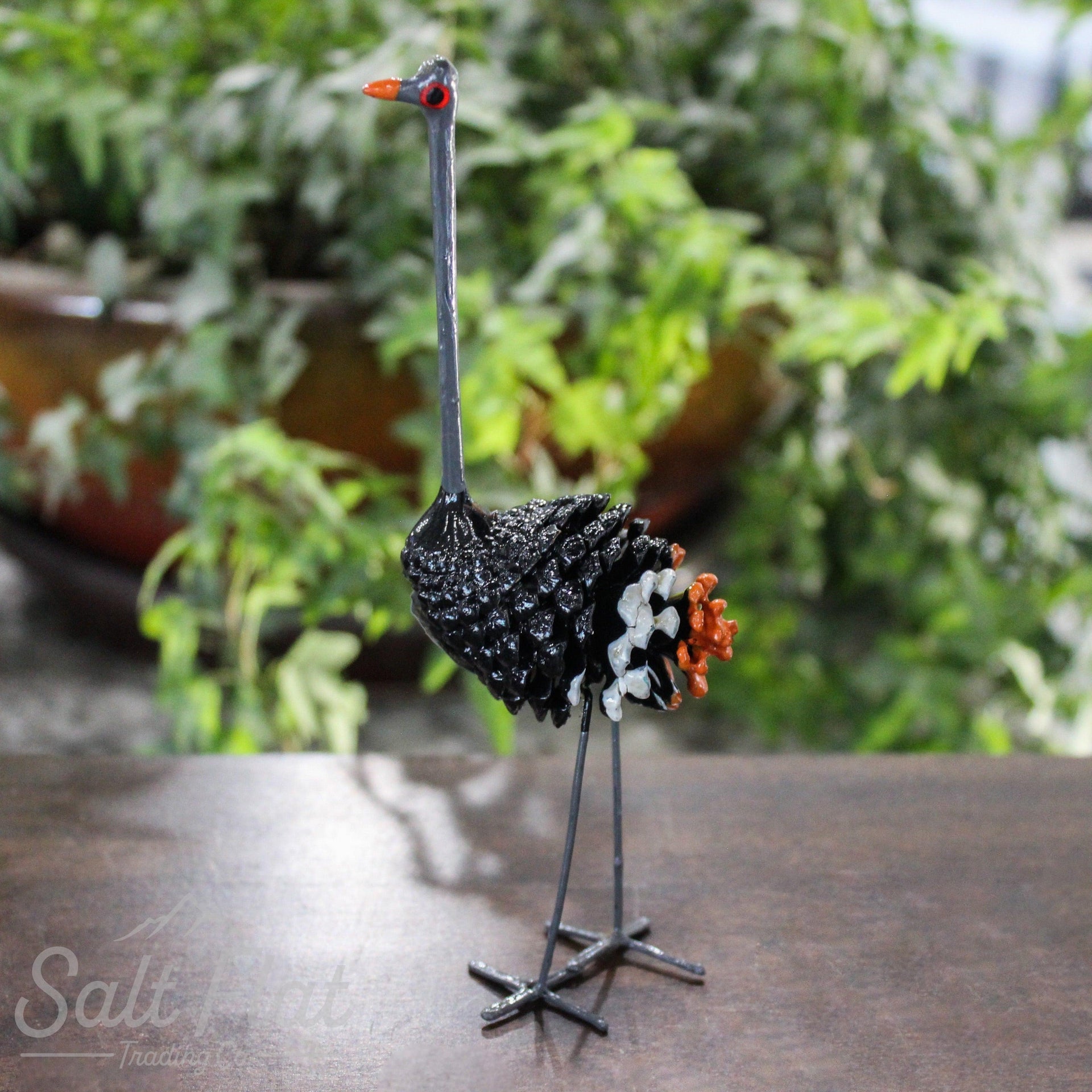 Aves de vainas de semillas