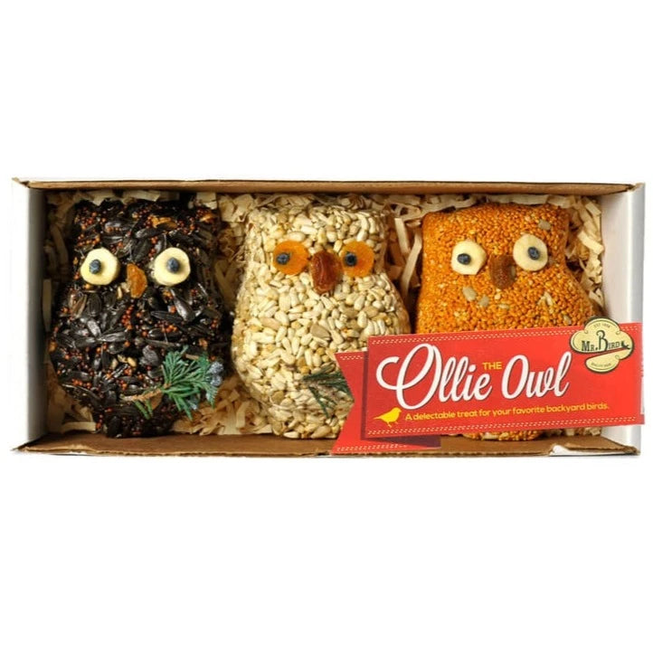 Ollie the Owl