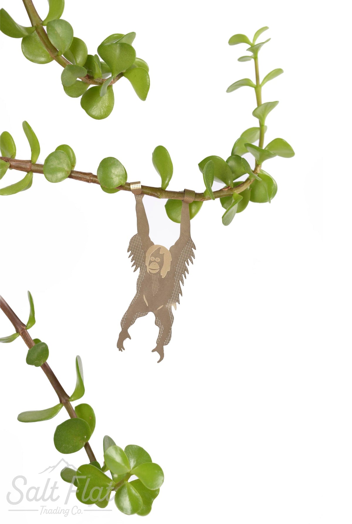 Plantas Animales