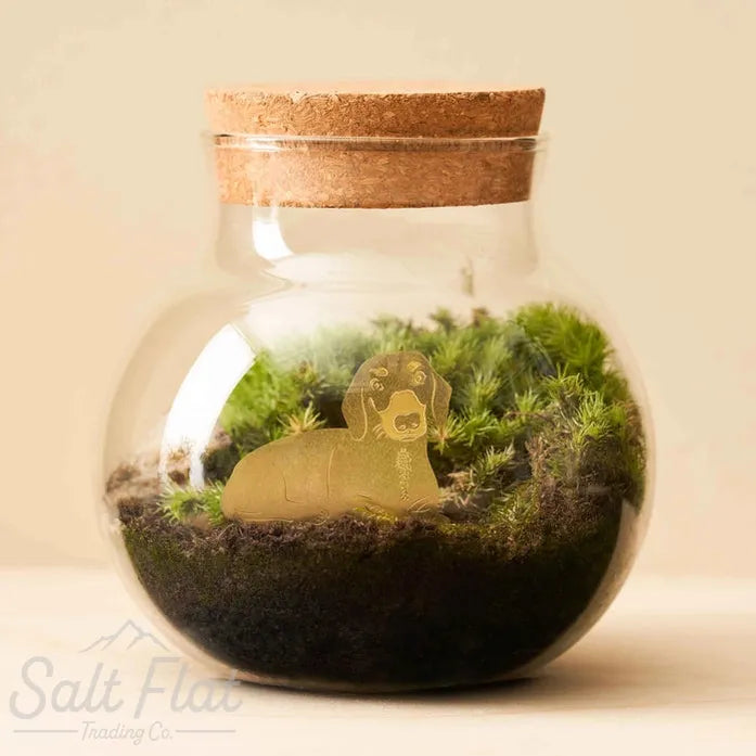 Plant Animals