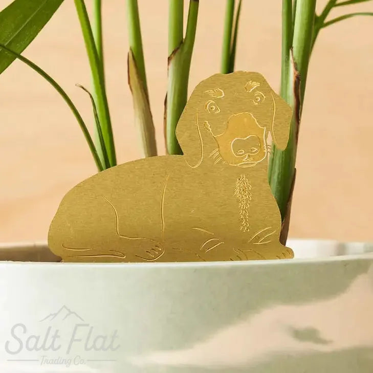 Plant Animals