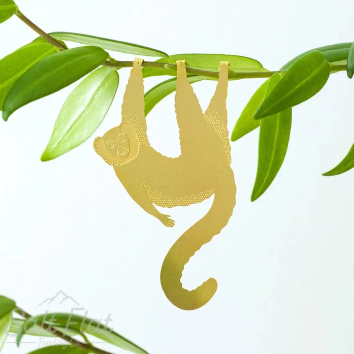 Plant Animals