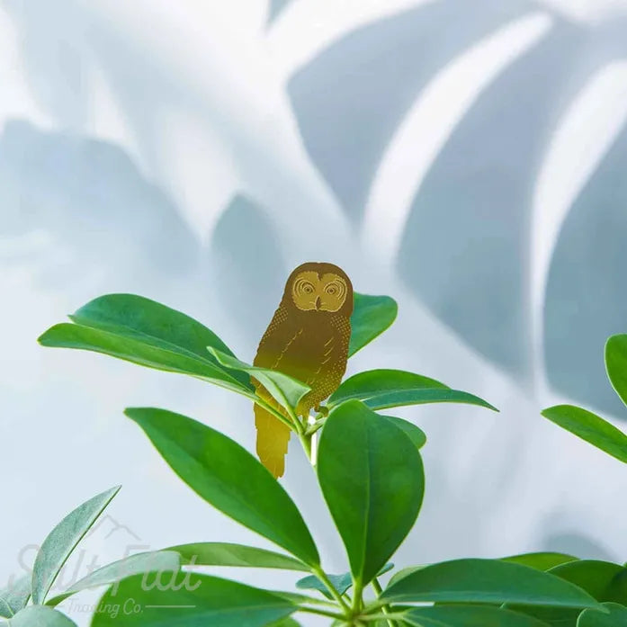 Plant Animals
