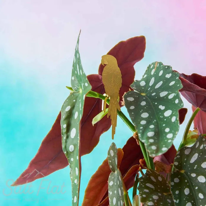Plant Animals