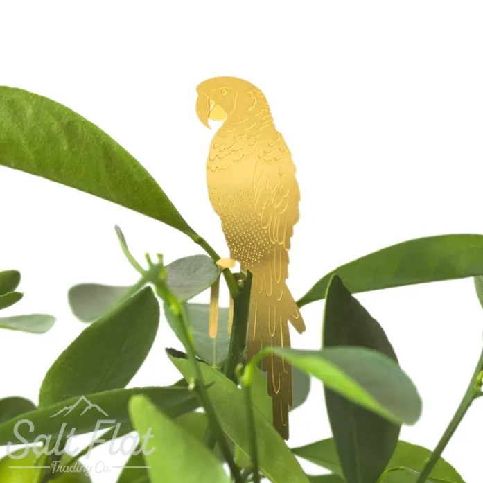 Plant Animals