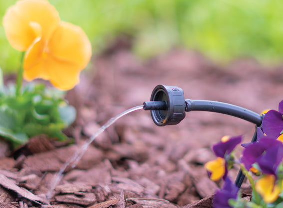 P/C Button Drip Emitters - Black, Green, Red