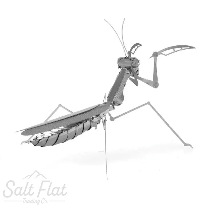 Metal Earth Models- Spiders & Insects
