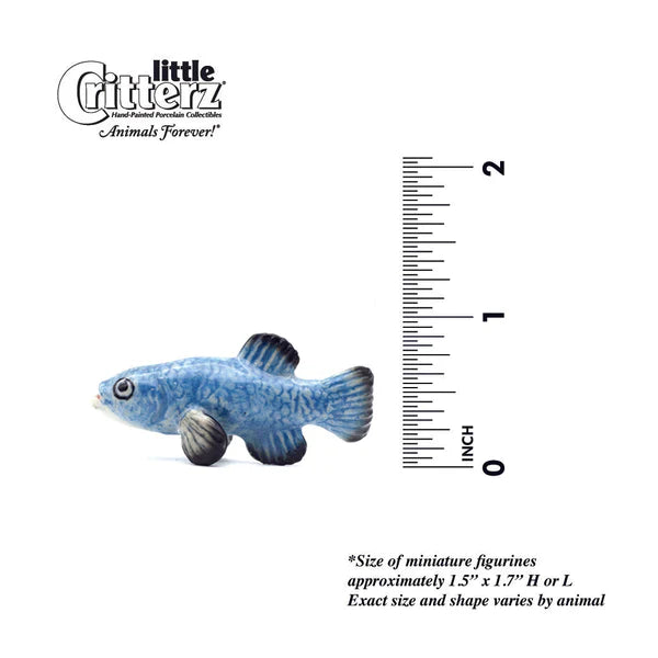 Little Critterz™ - Sealife