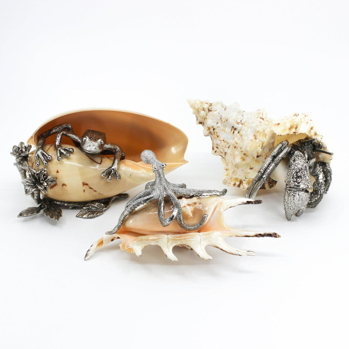 Pewter Shells