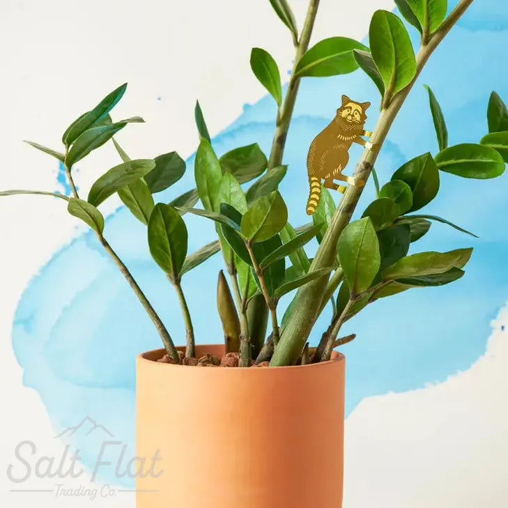 Plant Animals